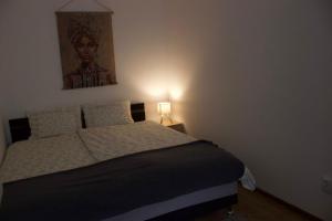 a bedroom with a bed with a picture on the wall at Natasa apartment in Băile Tuşnad