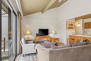 a living room with two couches and a television at Sanctuary at Sundendorf- New Updates! in Bellaire
