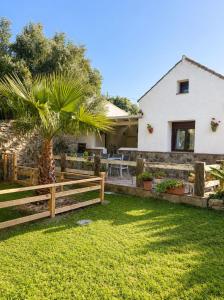 a house with a fence and a palm tree at La casa de Rodrigo y Manuela in Tarifa