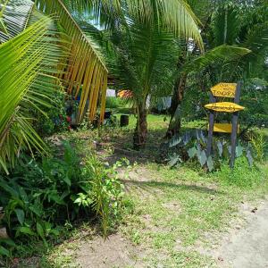 a sign sitting in the grass next to a palm tree at TANGARA Hostel in Buenaventura