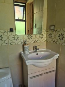 a bathroom with a sink and a mirror at Cabañas Carolín Cacao Castaño in San José de Maipo +71 photos