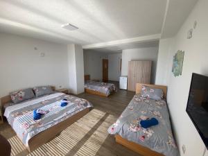 a bedroom with two beds in a room at RISTESKI GUEST HOUSE in Ohrid