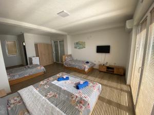 a living room with two beds and a flat screen tv at RISTESKI GUEST HOUSE in Ohrid