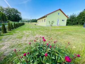 a house in the middle of a field with flowers at Ubytování Jitřenka in Černá Voda
