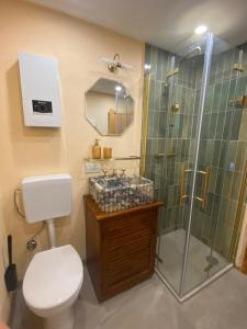 a bathroom with a toilet and a shower and a sink at Gemütliche Hütte im Grünen in Dammbach