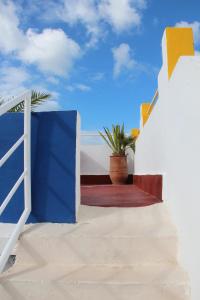 a stairway with a potted plant on the side at Auberge De La Plage in Sidi Kaouki