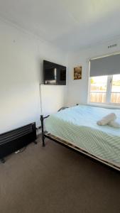 ein Schlafzimmer mit Bett und Flachbildfernseher in der Unterkunft Private Double Room Shared Bathroom in Warrane + 1 Foto
