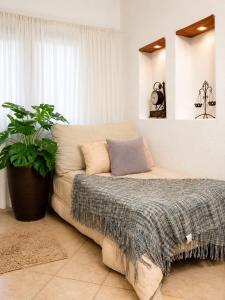 a couch in a living room with a potted plant at Caelum House Apartamento Con cochera in Rafaela