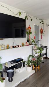ein Wohnzimmer mit Topfpflanzen und einem Flachbildfernseher in der Unterkunft Private Double Room Shared Bathroom in Warrane