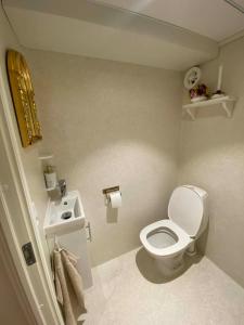 a small bathroom with a toilet and a sink at Elf's Cottage in Vatnsoyrar