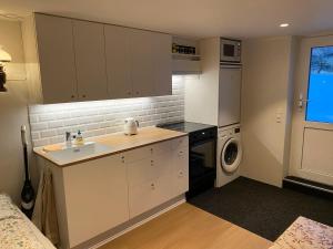 a kitchen with a sink and a washing machine at Elf's Cottage in Vatnsoyrar