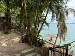 a beach with palm trees and an umbrella next to the water at Del Mar Beach House in Nimá +8 photos