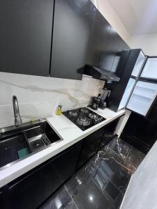 a small kitchen with a stove and a sink at Loft Rome Nacosari in Aguascalientes