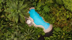 an aerial view of a swimming pool in a forest at Maquenque Lodge in Boca Tapada
