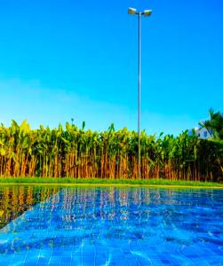 a swimming pool with a light pole and palm trees at Lindo apartamento em Muro Alto, Porto de Galinhas, Vista para as piscinas, 3 qtos e sala climatizados, Acomoda até 8 pessoas in Ipojuca