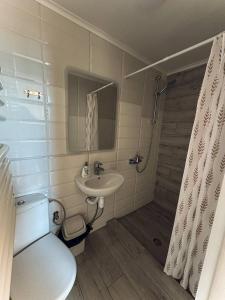a bathroom with a sink and a toilet and a shower at Вершина in Vorokhta