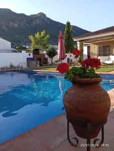 a vase with flowers in it next to a swimming pool at "La Güena Vida" Chalet con 4 Habitaciones de Hotel in Algodonales