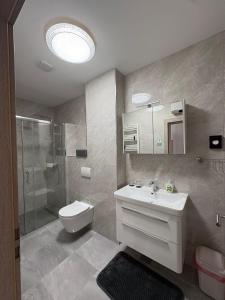 a bathroom with a toilet and a sink and a shower at Apartmani HeManoS in Duga Resa +24 photos