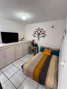 a bedroom with a bed and a flat screen tv at Mexican House in Mexico City