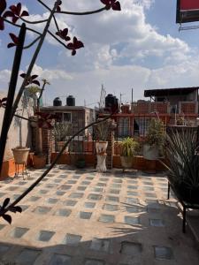 a patio with potted plants on a roof at Mexican House in Mexico City