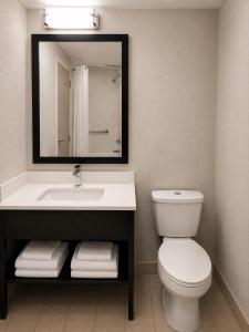 a bathroom with a sink and a toilet and a mirror at Overlook Mountain Inn in Guntersville