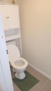 a bathroom with a white toilet and a green rug at The Central Apartment in Geraldine