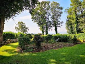 a garden with bushes and trees on a lawn at 7 person holiday home in Kolind in Kolind