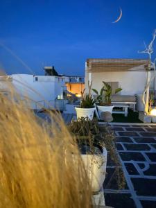 a moon over a house with potted plants at Le Nuage in Torre Lapillo