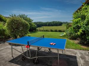 a blue ping pong table in a yard at Grande Gite Bassoues in Bassoues