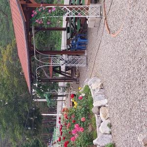 an overhead view of a garden with flowers at Yangyang Haneul Cheon Ddaji in Yangyang