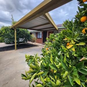 an orange bush in front of a house at LBarza 1BR CBD Self Contained Apartment in Shepparton