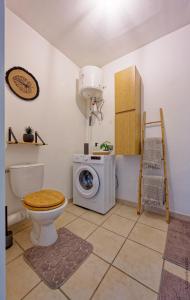 a bathroom with a toilet and a washing machine at Nid rose paradis secret au robert avec jacuzzi in Le Robert