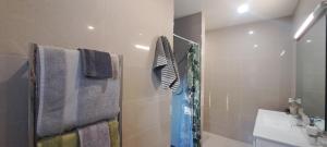 a bathroom with a shower and a sink and towels at Hidden Gem in Oaklands in Napier