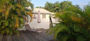 a house with a chair on a deck with palm trees at Les Gîtes de Bergette in Petit-Bourg