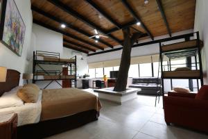 a bedroom with two bunk beds and a tree at Campestre La Fuente in Monterrey +66 photos