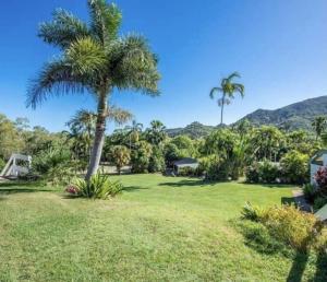 a palm tree in the middle of a yard at 71 Mandalay in Nelly Bay