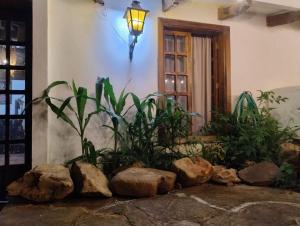 a room with a light and some plants and rocks at Casa Alquimia Completa in Samaipata