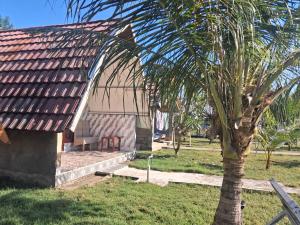 a house with a palm tree in front of it at Dinoyin Bungalows in Gili Meno