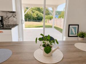 a potted plant sitting on a table in a kitchen at Lagoon Views Near Bird Sanctuary in Victoria