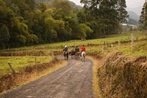 a group of people riding horses down a dirt road at San Remo Ecolodge in Santa Rosa de Cabal +90 photos