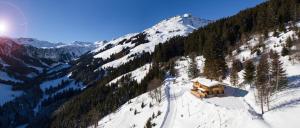 Almhütte Lengau v zime