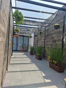 a patio with potted plants on a brick wall at Havana House in Mexico City
