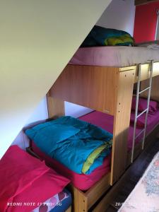 a couple of bunk beds in a room at Alojamiento Amado in Los Antiguos +8 photos
