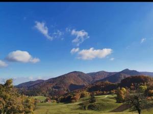 a view of a hill with mountains in the background at Počitniška hiša Maja v naravi in Planina pri Sevnici