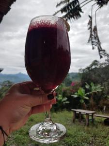 a hand holding a glass of red wine at La Escondida in Jardin