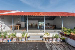 a house with a bunch of potted plants in front of it at Estate Bungalow with Waterfall, Mountain & Valley Views in Kotagiri