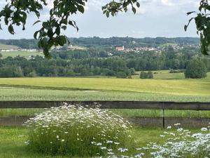 eine Wiese mit weißen Blumen und ein Zaun in der Unterkunft 23 Mattenham - Rückzugsort in Abgeschiedenheit in Vilshofen an der Donau