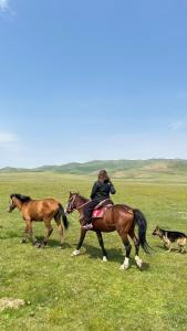 a woman riding a horse with two horses and a dog at Yurtcamp Rahat&Horse Trekking in Kyzylemgek