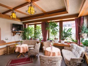 TV a/nebo společenská místnost v ubytování Hotel Restaurant Alte Linde