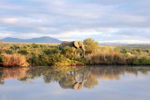 ナンビティ・ゲーム・リザーブにあるUmzolozolo Private Safari Lodge & Spaの水の横に立つ象